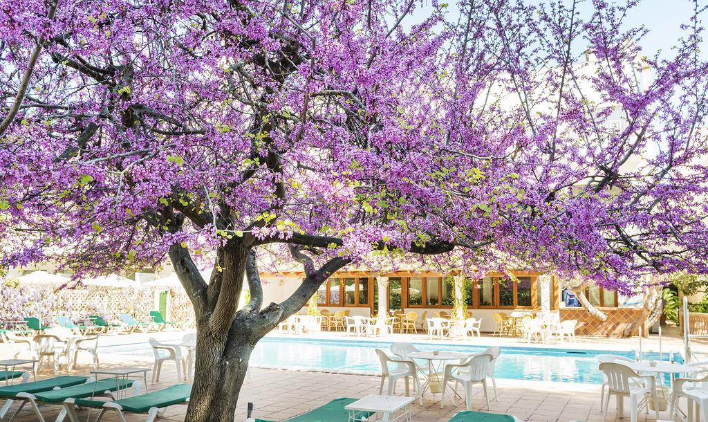 Hotel Gaya Peguera Exteriér fotografie